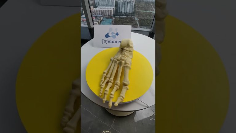 spine three column model,best anatomical models for medical students,models of vertebral column.