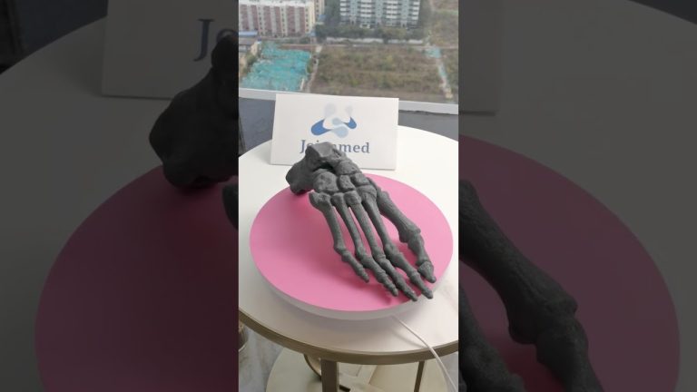 Demo flexible spine model with pelvis Manufacturer Chinese,spine model with muscles,